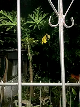 Jestebandiaz07 webcam