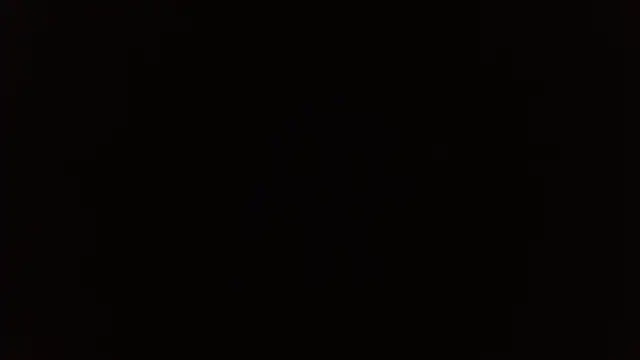 CanelaCollins webcam