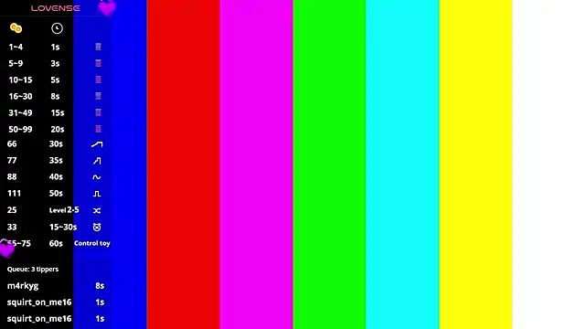 SibleyAllston webcam