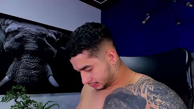 king_falconer webcam