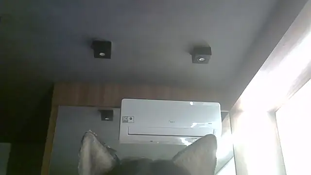 SkinnyKitten webcam