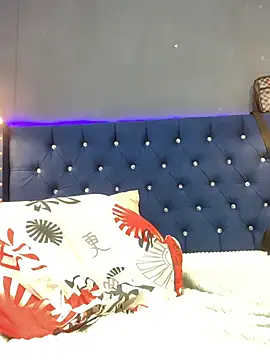 Salomon_koude webcam