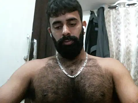 indianhairybull webcam