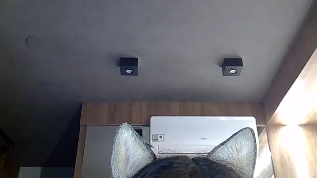 SkinnyKitten webcam