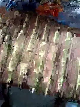 adicma123 (M young) - Cock with honey cream