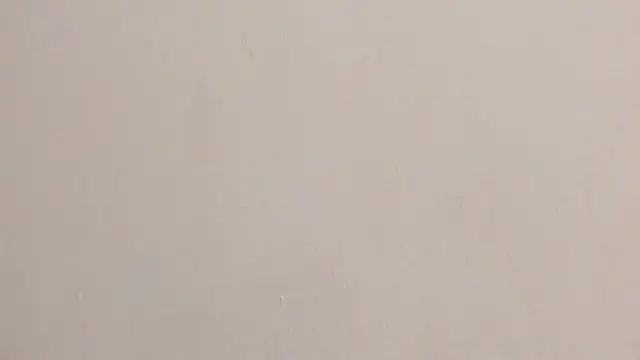 candela_collinss webcam