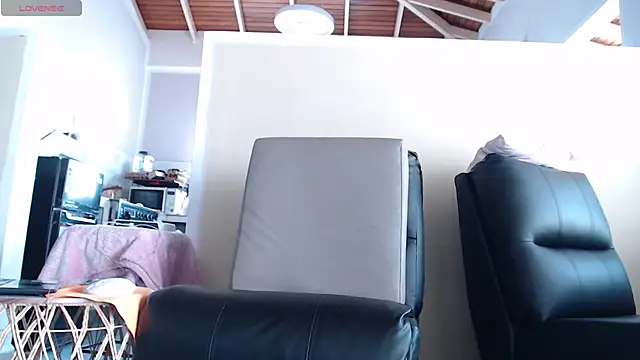 Neil_and_isaac webcam