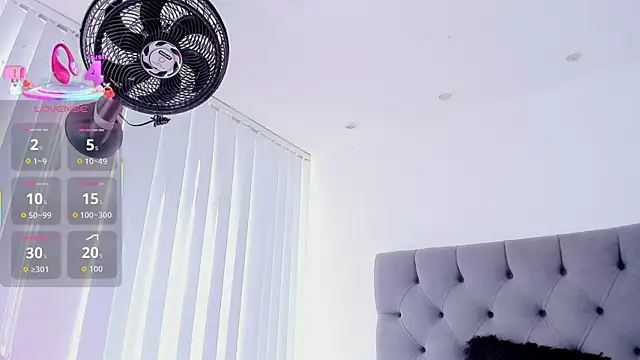 VictoriaParkeer webcam