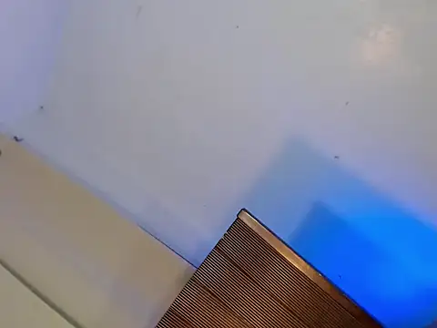 Onegreattransdiva webcam