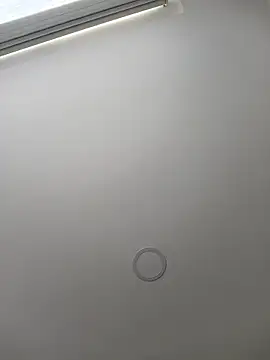 SweetCat_and_Jhonny webcam