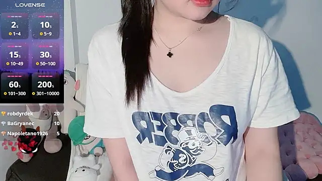 BeChinh_Lee webcam