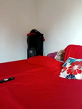 LEIRIS_Y_FRED_01 webcam