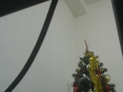 swallow_taboo webcam