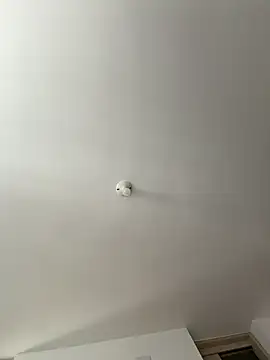 itsdanividarte webcam