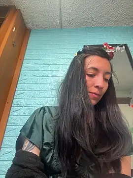 SALOME_KORLAND webcam