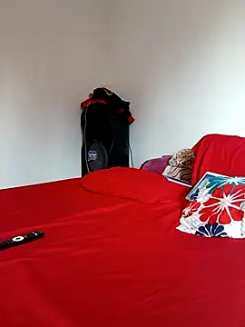 LEIRIS_Y_FRED_01 webcam