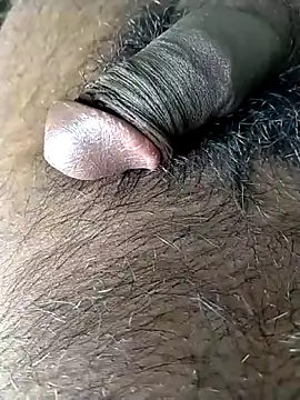 Preview of jellydicks