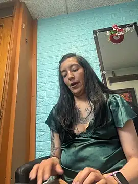 SALOME_KORLAND webcam