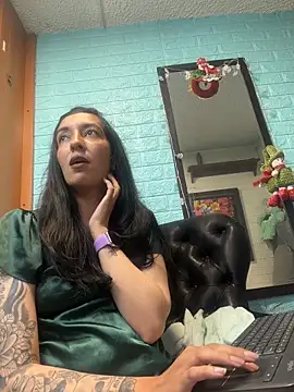 SALOME_KORLAND webcam