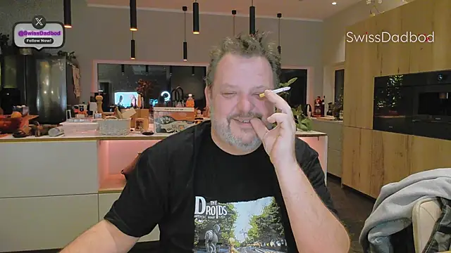 SwissDadbod webcam