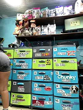 sophie_cute66 webcam