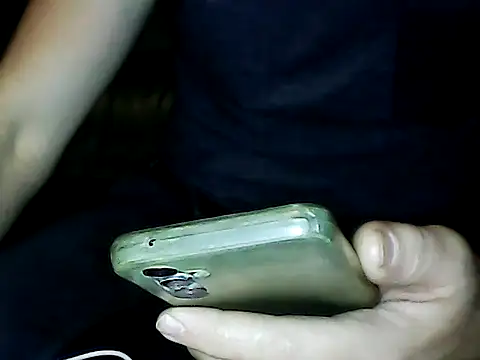 BrunJulienMetis webcam