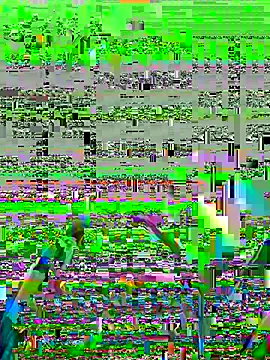 AkashaMorales webcam