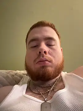 GingerChub4 webcam