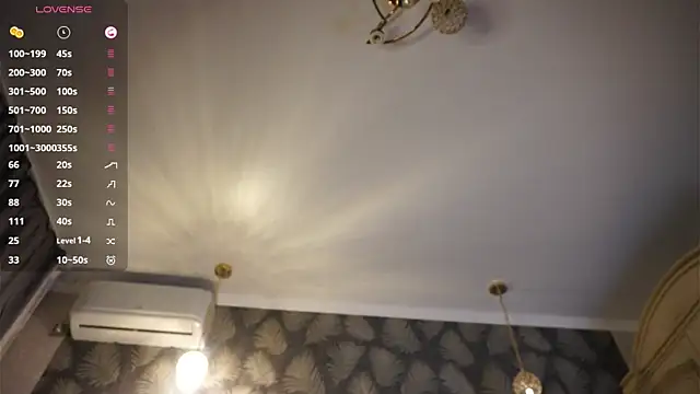 SibleyAllston webcam