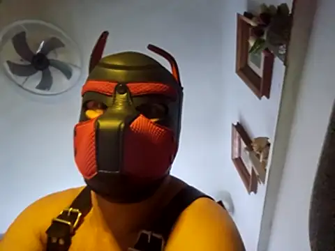 PlayfulThomas webcam