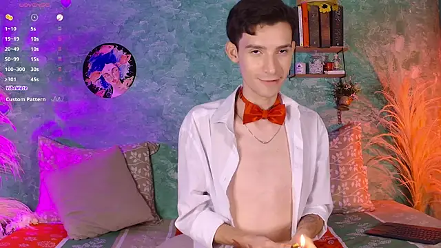 VicenteFerrer webcam