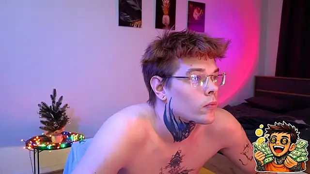 DENIS_HERE webcam