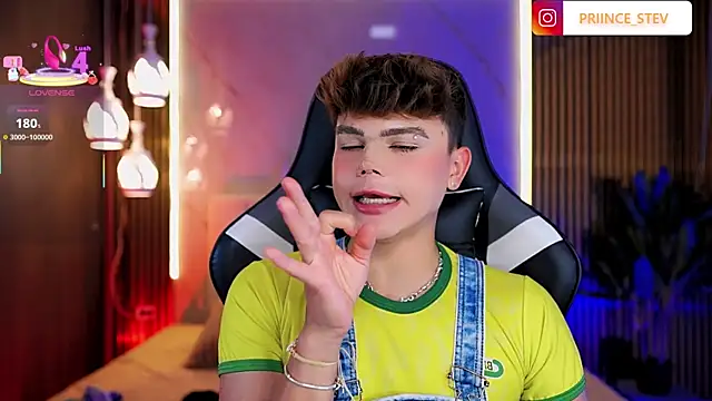 PRINCE_STEV webcam