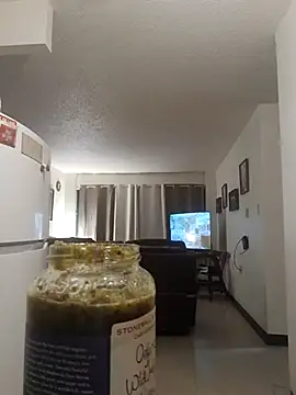 ReallyReallyReal webcam