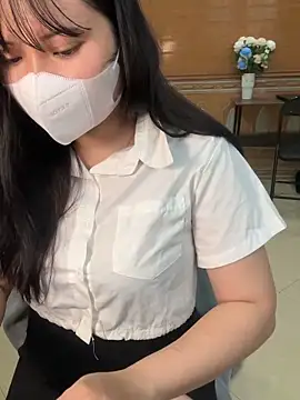 hide_from_colleagues webcam