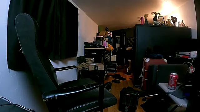 leanjamesdean webcam