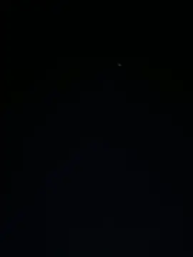 pillepallex84x webcam