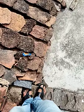 apka_rockstarr webcam