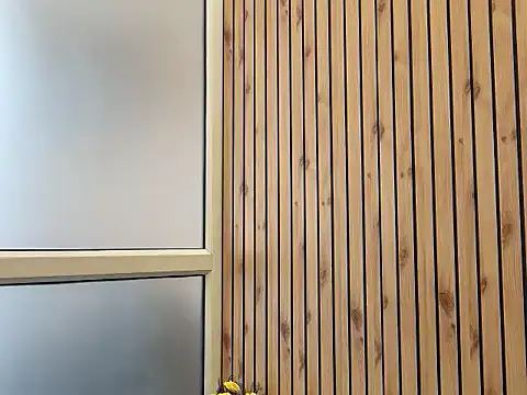 DarkMasterDesire webcam