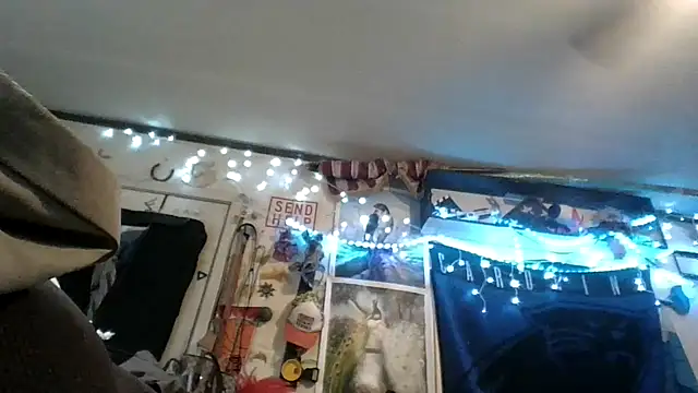 In2itvegassstyle webcam