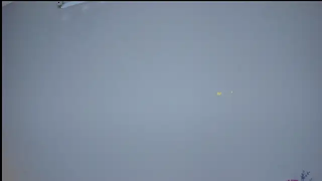 L1ittle_kitty_ webcam