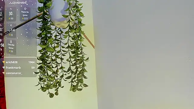 Julieta_Lein_ webcam