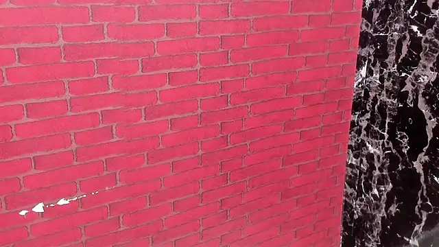 WALESKABBW_ASS webcam