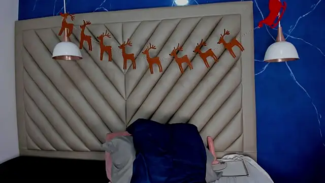 Ibbie_drastic webcam