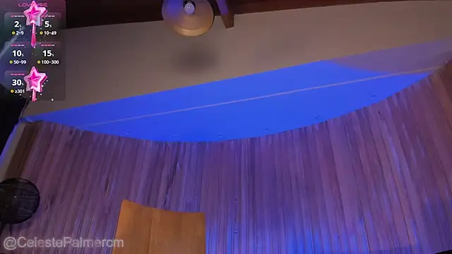 CelestePalmer_ webcam