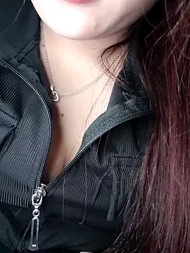 Linksys_nicee webcam