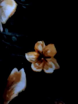 aman4404 (Ask my age) - My new house