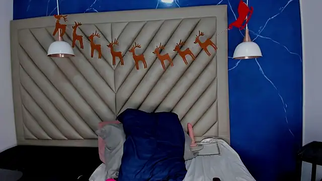 Ibbie_drastic webcam