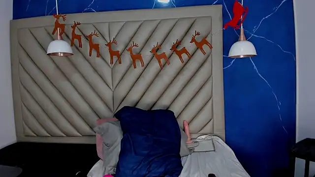 Ibbie_drastic webcam