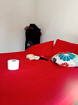 LEIRIS_Y_FRED_01 webcam